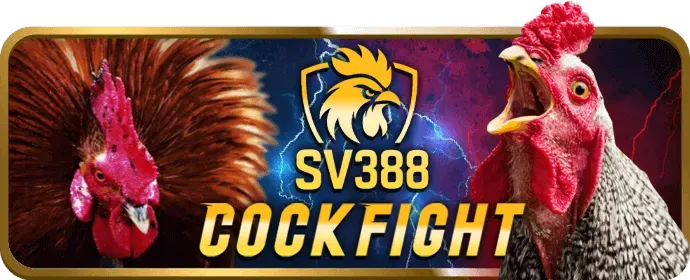 Chương trình VIP vua99 nổ hũ